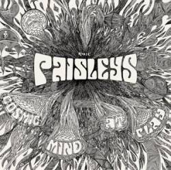 The Paisleys : Cosmic Mind at Play